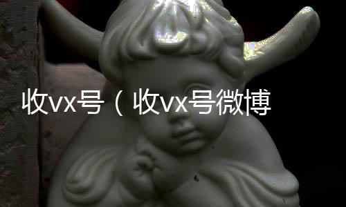 收vx号vx回收联系方式（收vx号微博）